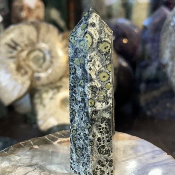 🎄SALE🎄Kambaba Crystal Point! - Picture 4 of 4